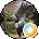 MD1849-50 Avatar