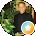 Hale Waller Avatar