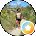 Gina Martinez Avatar