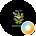 Steven Brier Avatar