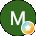 M S Avatar