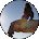 Simone Maillard Avatar