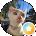 Kevin Liz Avatar