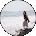 L P Avatar