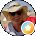 Donna Peacher-Hall Avatar