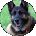 Noralee Bauthues-Stewart Avatar