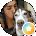 Loumari Silvestre Avatar