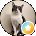 Danny Chin Avatar