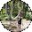 Edgar Nunez Avatar