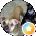 Thompson Thompson Avatar