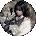 Extra3ve20 Avatar