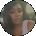Taj Avatar