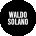 Waldo Solano Avatar