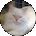 G MAN Avatar