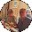 Cindy Woodward Avatar