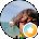 Althea Whyte Avatar