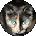 Donna Constantinides Avatar