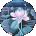 Madison Newton Avatar