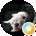 Sammy M Avatar
