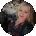 Regina Rose Avatar