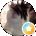 miranda Avatar