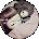 Cassie Navarro Avatar