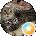 kissy kat Avatar
