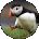 Usiel Trevino Avatar