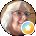 Brenda Lagosz Avatar