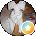 Hector Arauz Avatar