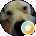 Shelly Sims Avatar