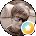 Wanda Kavanagh Avatar