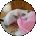Ligia Fein Avatar