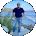Hamid Khadem Avatar