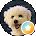 Muhang Avatar
