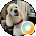 C Morris Avatar