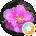 Yu Wang Avatar