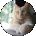 Amy Campion Avatar