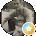 Bernard Bojanowski Avatar