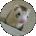 Aaron Rhubstar Avatar