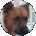 Donna Whitney Avatar