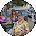 Maria Shipp Avatar