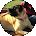 Brittany Schenkel Avatar