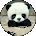 Dawn Ory Avatar