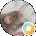 bug Avatar