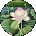joyce bernstein Avatar