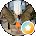 Diana Shenkel Avatar