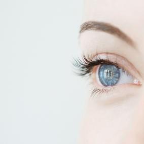 Envision Eye Specialists photo