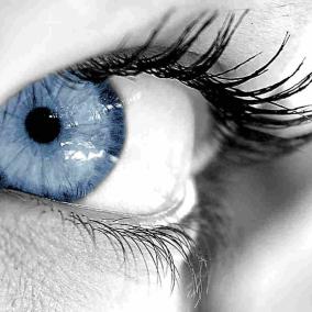 ImproveYourVision.org photo