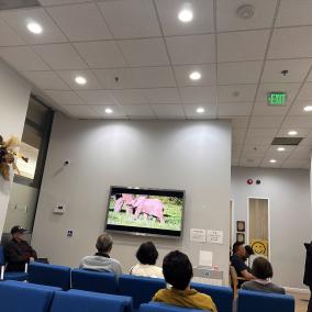 Los Angeles Society of Ophthalmology photo